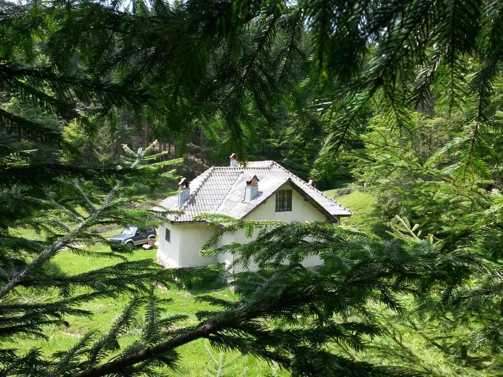 Cabana Pietricica Dîmbovicioara 外观 照片