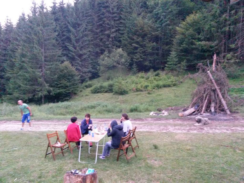 Cabana Pietricica Dîmbovicioara 外观 照片