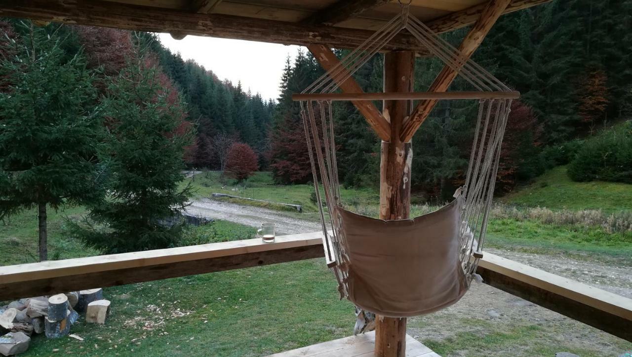 Cabana Pietricica Dîmbovicioara 外观 照片
