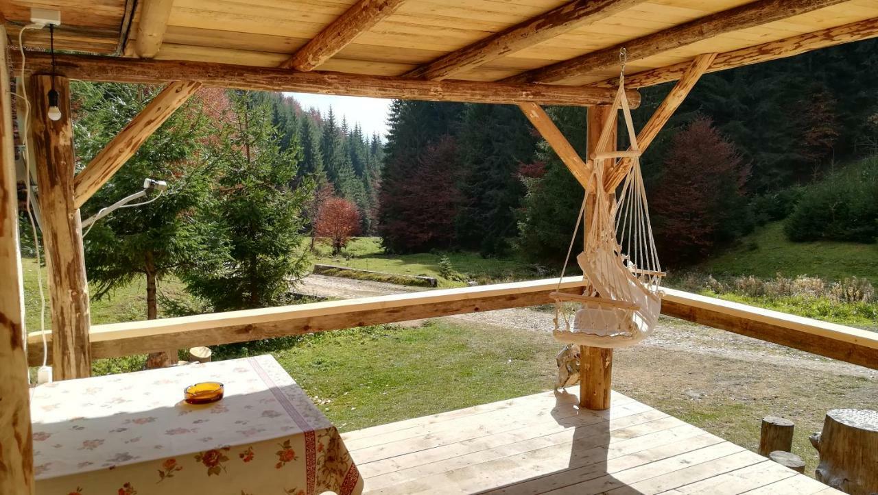 Cabana Pietricica Dîmbovicioara 外观 照片