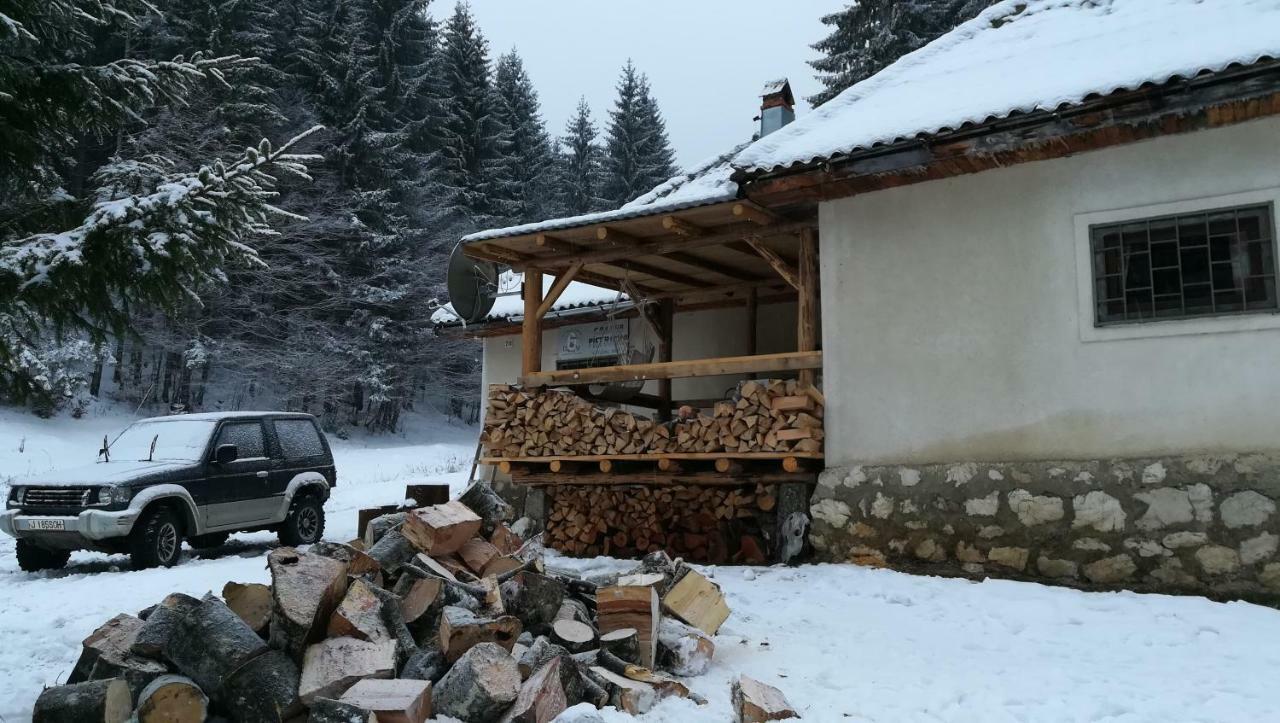 Cabana Pietricica Dîmbovicioara 外观 照片