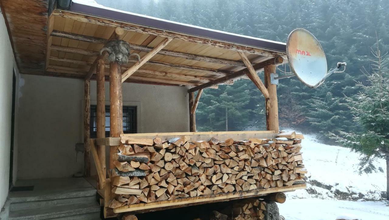 Cabana Pietricica Dîmbovicioara 外观 照片