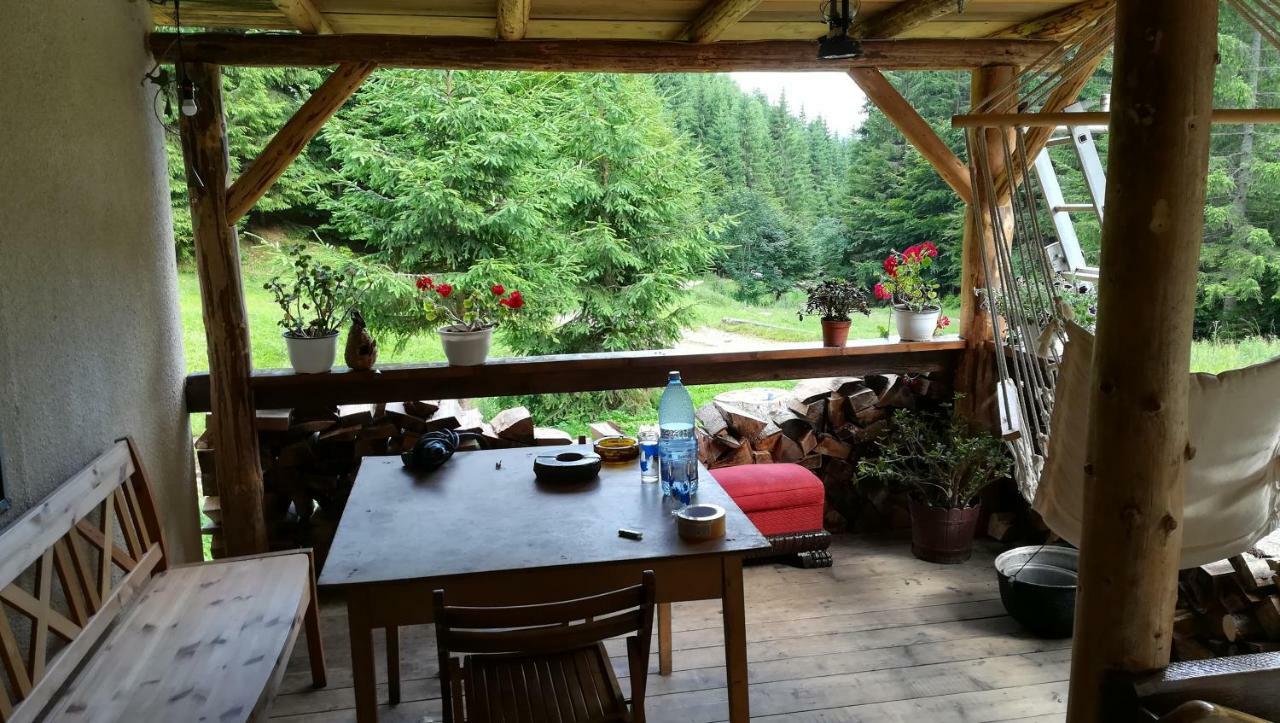 Cabana Pietricica Dîmbovicioara 外观 照片