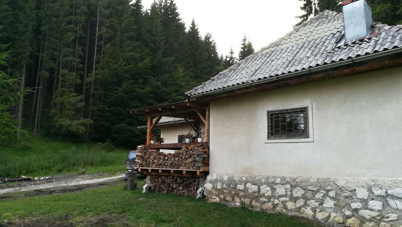 Cabana Pietricica Dîmbovicioara 外观 照片