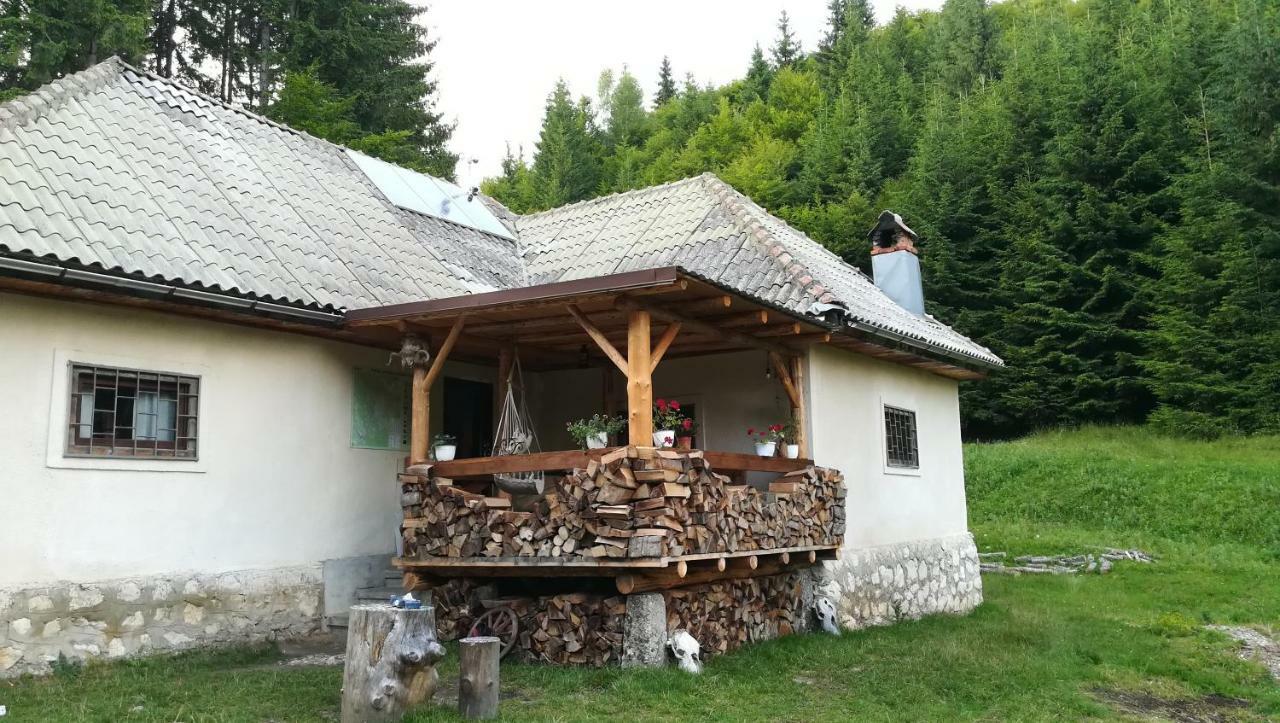 Cabana Pietricica Dîmbovicioara 外观 照片