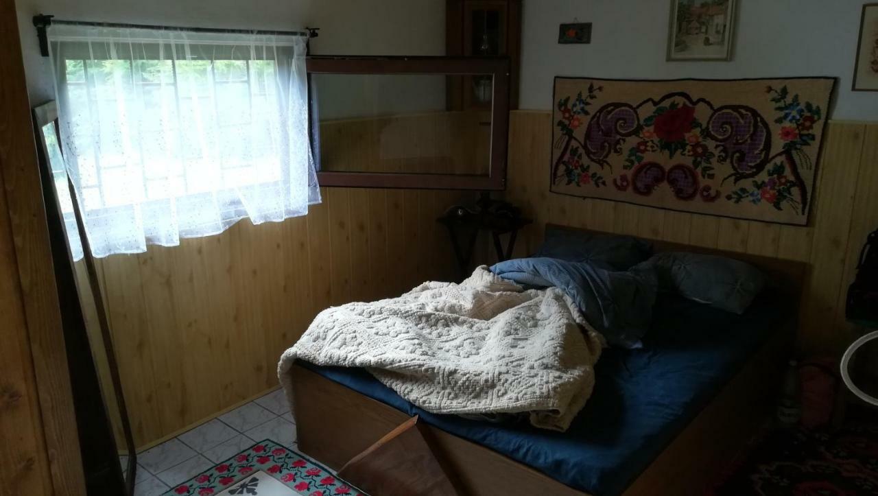 Cabana Pietricica Dîmbovicioara 外观 照片