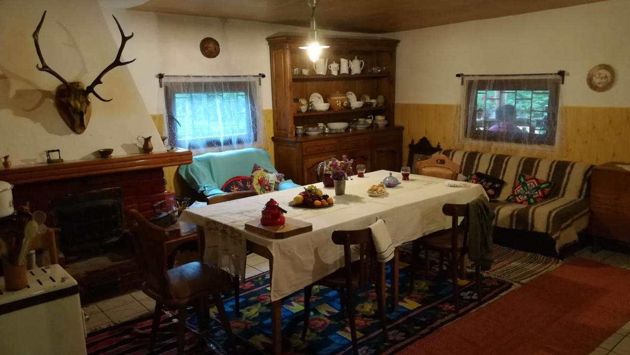 Cabana Pietricica Dîmbovicioara 外观 照片